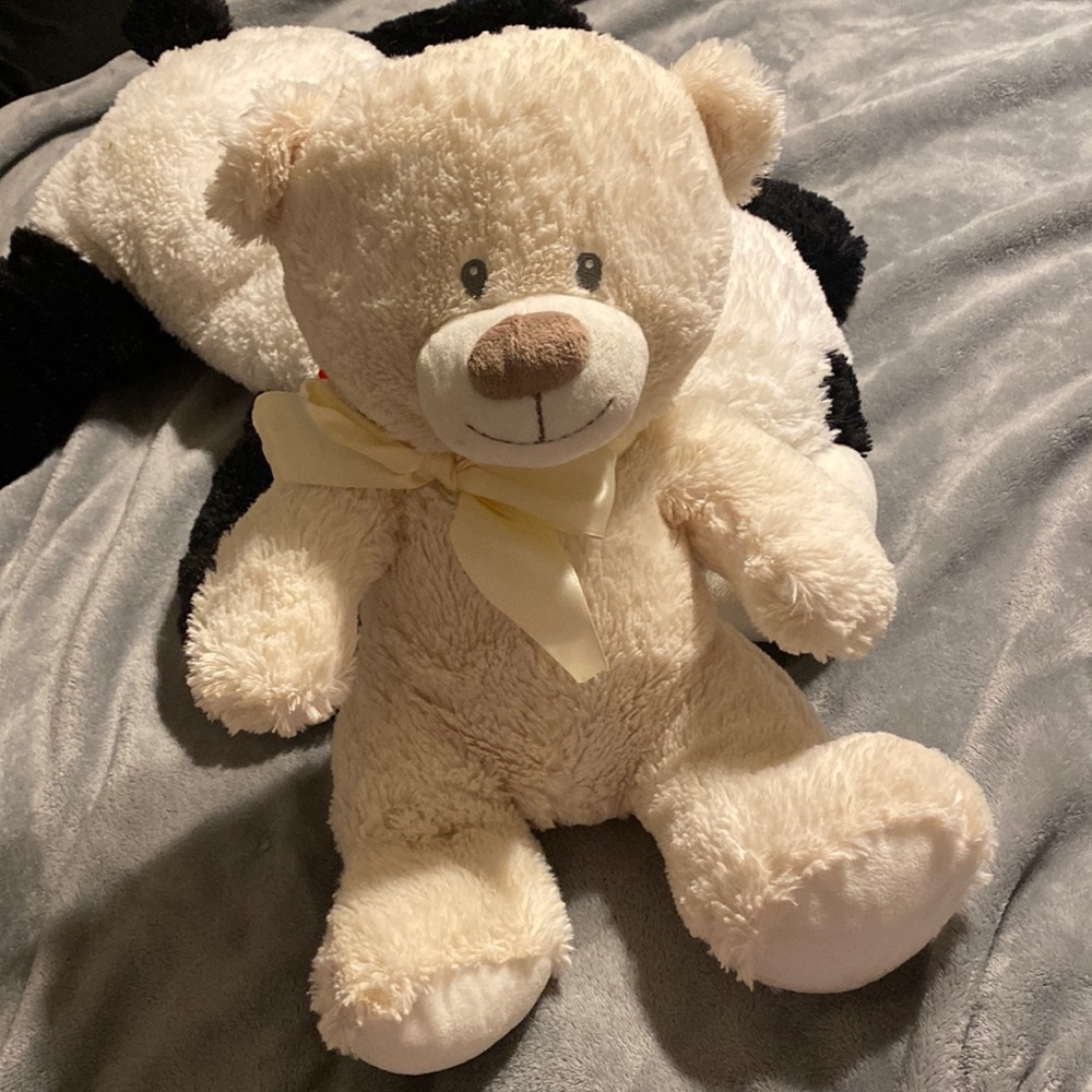 teddy bear